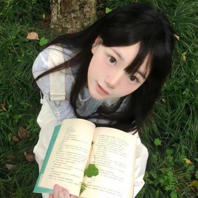 刑事侦缉档案2国语