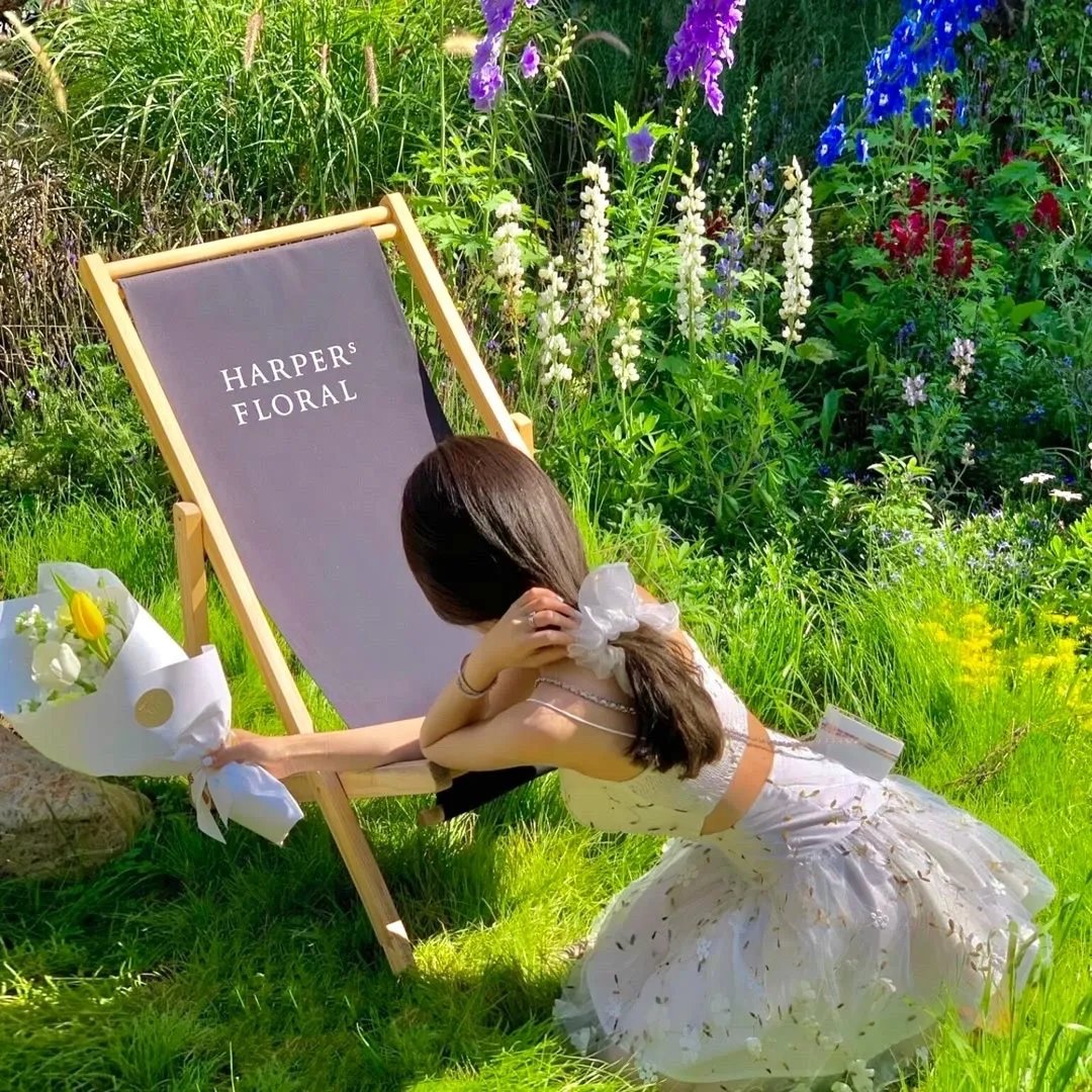 排球少年剧场版：才能与感觉